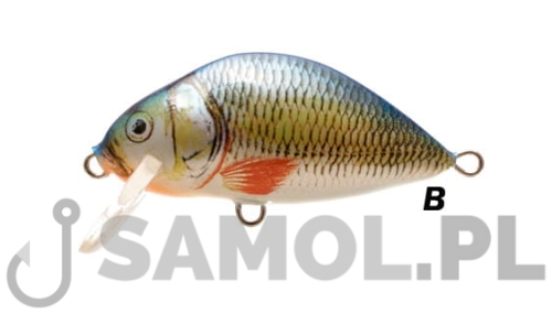 lake b.jpg