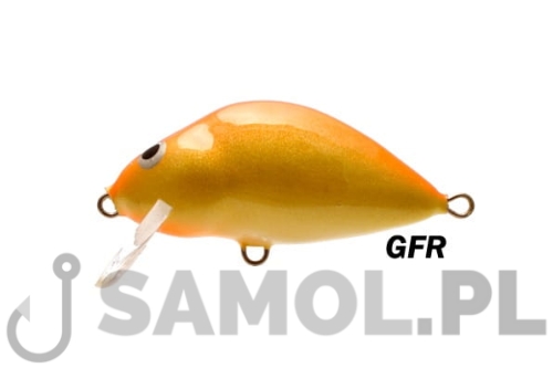 LAKE GFR.jpg