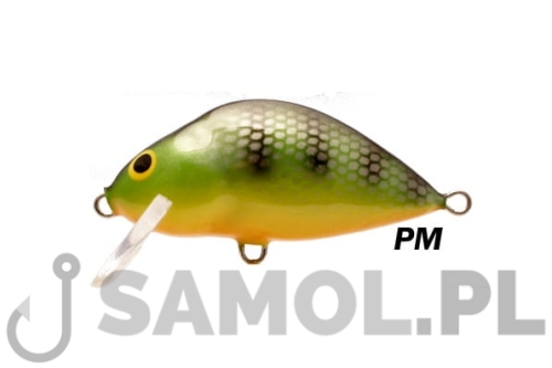 LAKE PM.jpg