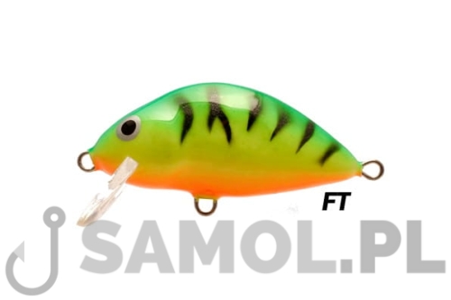 LAKE FT.jpg