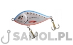 WOBLER DORADO DRUNK 10CM S BPV