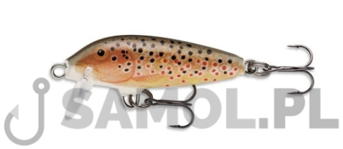 Wobler Rapala Original TR.jpg