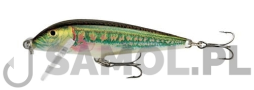 Wobler Rapala Original MN.jpg