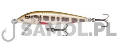 Wobler Rapala Original BVA.jpg