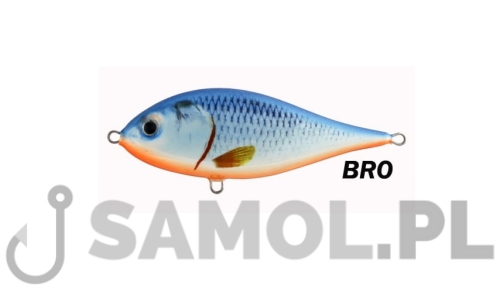 elusor bro.jpg