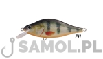 WOBLER DORADO TEMPTER 10CM F PH