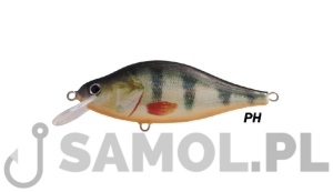 WOBLER DORADO TEMPTER 10CM F PH