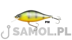 WOBLER DORADO TEMPTER 10CM F PM