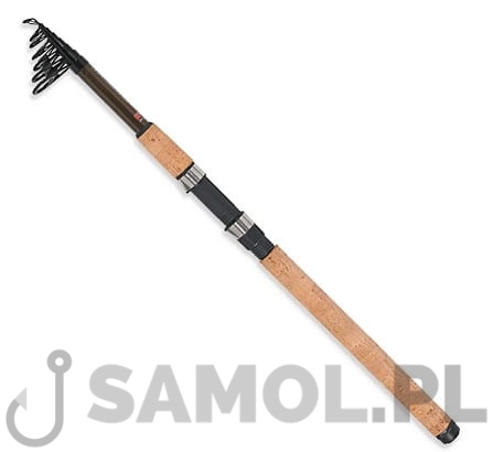 Wędka Robinson Ashigari Tele Bream.jpg