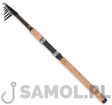 Wędka Robinson Ashigari Tele Carp.jpg