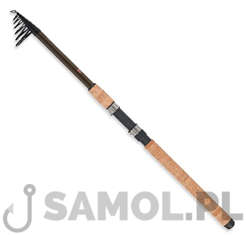 Wędka Robinson Ashigari T-Power Carp.jpg