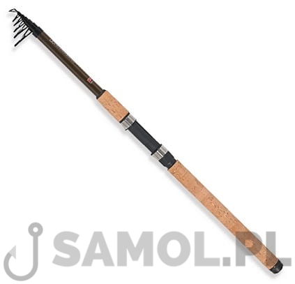 Wędka Robinson Ashigari Tele Spin.jpg