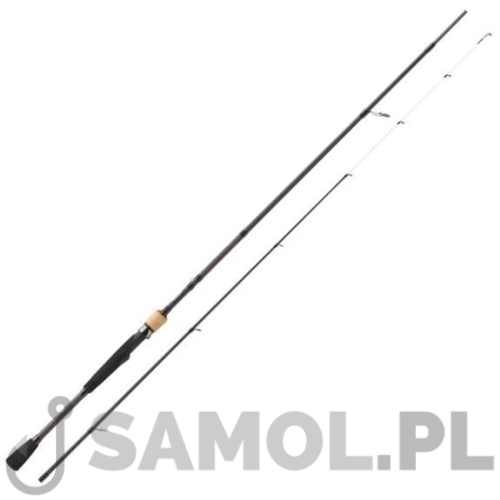 E-MOTION BERKLEY.jpg