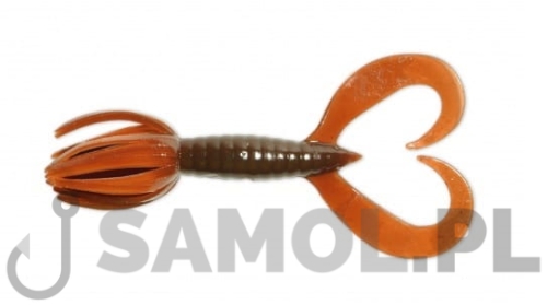 LITTLE SPIDER SCUPPERNONG.jpg