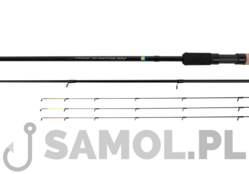 ascension feeder.jpg