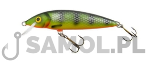 WOBLER DORADO CLASSIC 5CM F PM