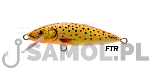 WOBLER DORADO CLASSIC 15CM F FTR