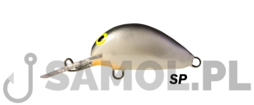ALASKA SP.jpg