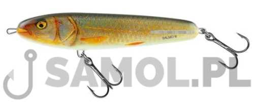 SALMO WOBLER SWEEPER RER.jpg