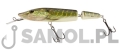 Wobler Salmo Pike Jointed DR PKE.jpg