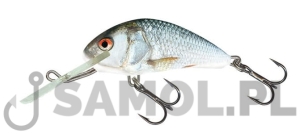 WOBLER SALMO HORNET RDE