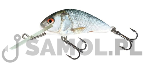 Wobler Salmo Hornet RDE.jpg