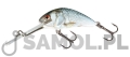 Wobler Salmo Hornet SDR RDE.jpg
