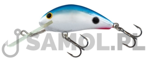 Wobler Salmo Hornet RTS.jpg