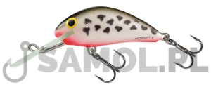 Wobler Salmo Hornet DAL