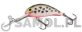 Wobler Salmo Hornet SDR DAL.jpg
