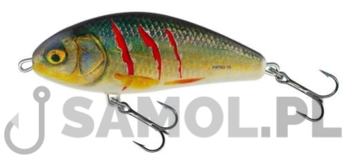 Wobler Salmo Fatso WRR.jpg