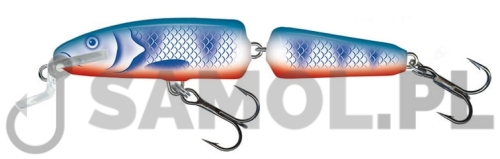 Wobler Salmo Fanatic BRB.jpg