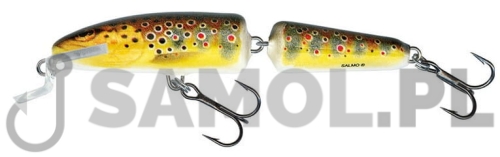 Wobler Salmo Fanatic TRO.jpg