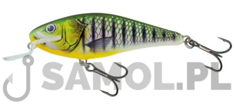 SALMO WOBLER EXECUTOR PHP.jpg