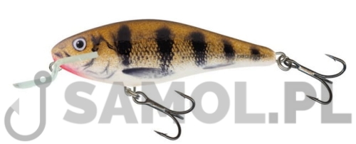 SALMO WOBLER EXECUTOR EMP.jpg