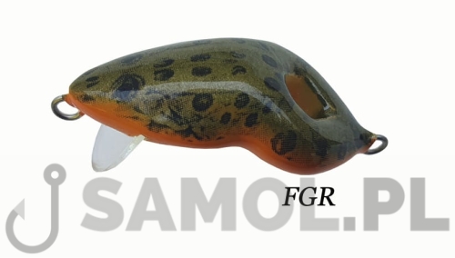 FROG FGR.jpg