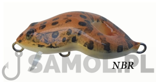 FROG NBR.jpg