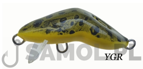FROG YGR.jpg