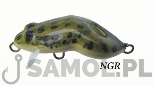FROG NGR.jpg