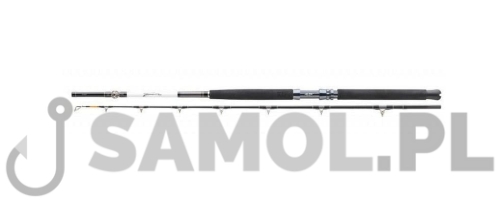 WĘDKA DAIWA TANACOM 2,10M 400-1000G.jpg