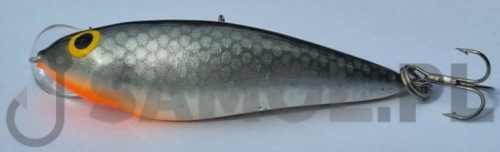 DEAD FISH S.jpg