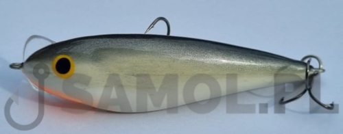 DEAD FISH SP.jpg
