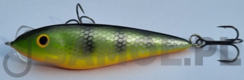 DEAD FISH P.jpg