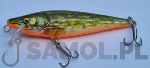 esox fgr.jpg