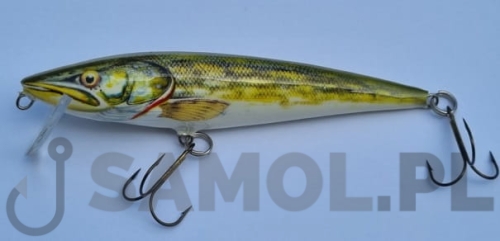 ESOX NGR.jpg