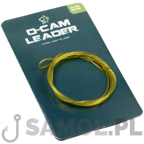 d-cam_leader.jpg
