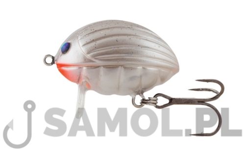 Wobler Salmo Lil'Bug kolor PBG.jpg