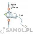 Koralik do troka Jaxon AJ-M59 2.jpg