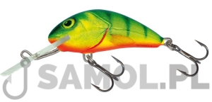 Wobler Salmo Hornet HP