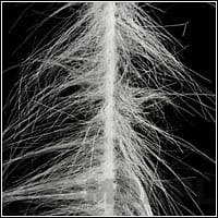 b9b6bc240c342699bec39e40ef6afa7c3ee0a3d7